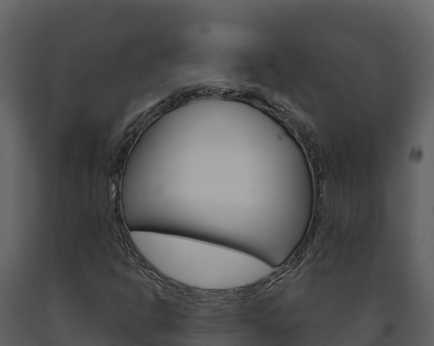X0000091721302200708241010