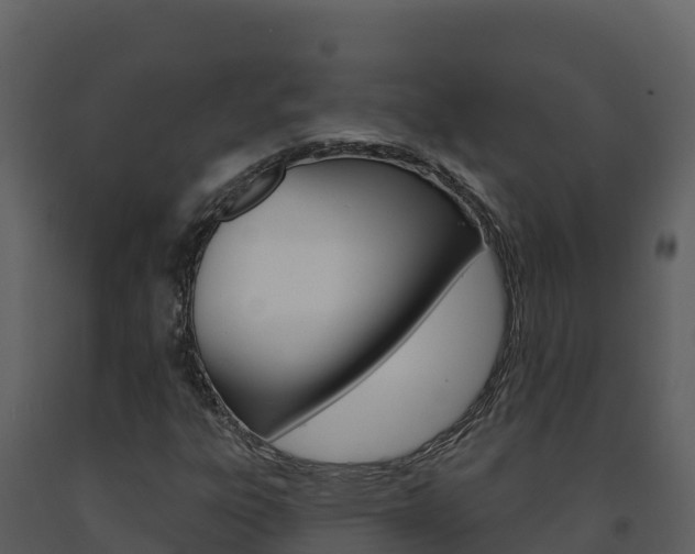 X0000091721303200708241010