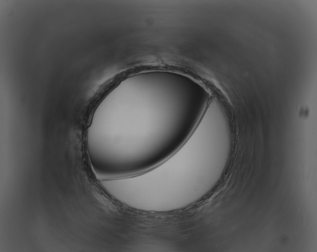 X0000091721304200708241010