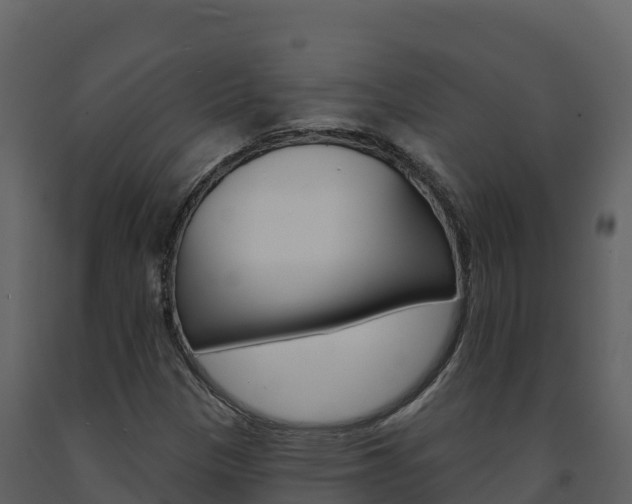 X0000091721305200708241010