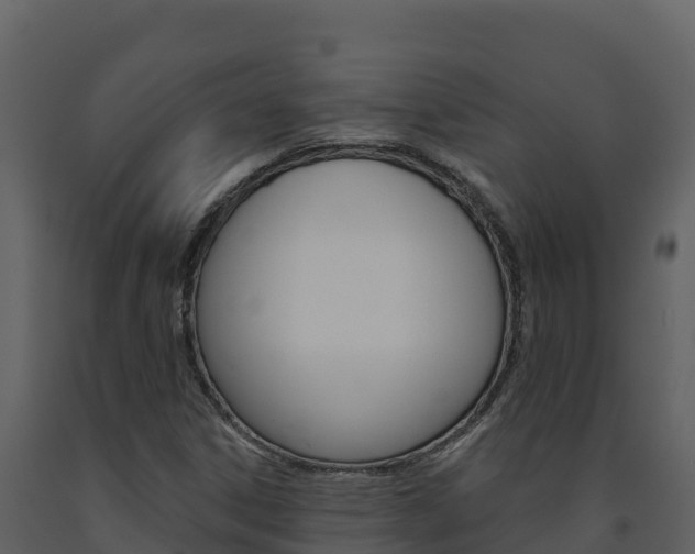X0000091721306200708241010