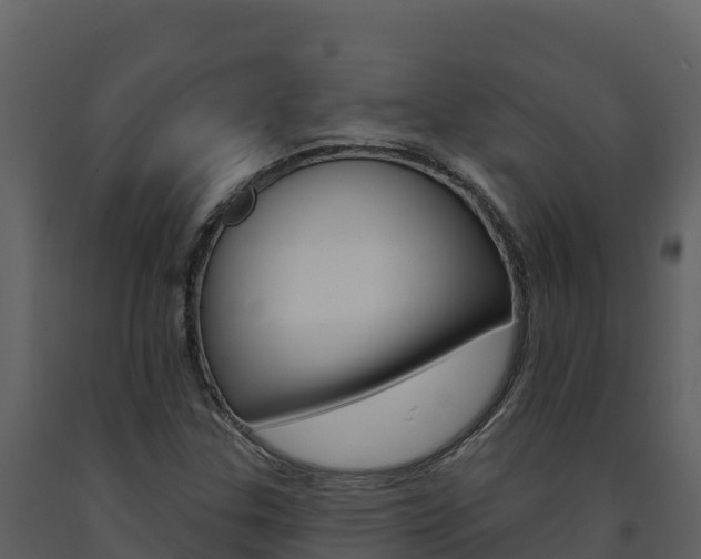 X0000091721307200708241010