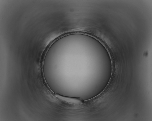 X0000091721308200708241010