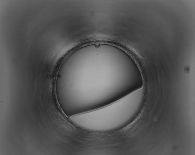X0000091721309200708241010