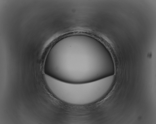 X0000091721310200708241010