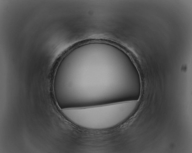 X0000091721311200708241010