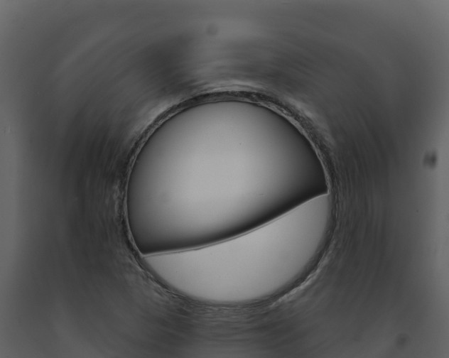 X0000091721313200708241010