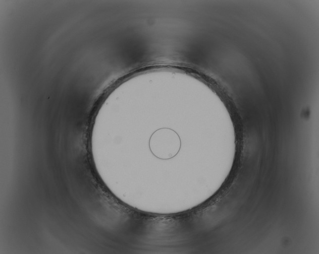 X0000091721314200708241010