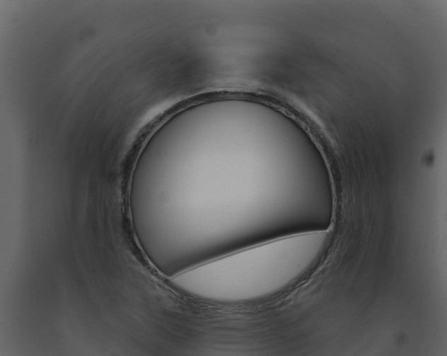X0000091721315200708241010