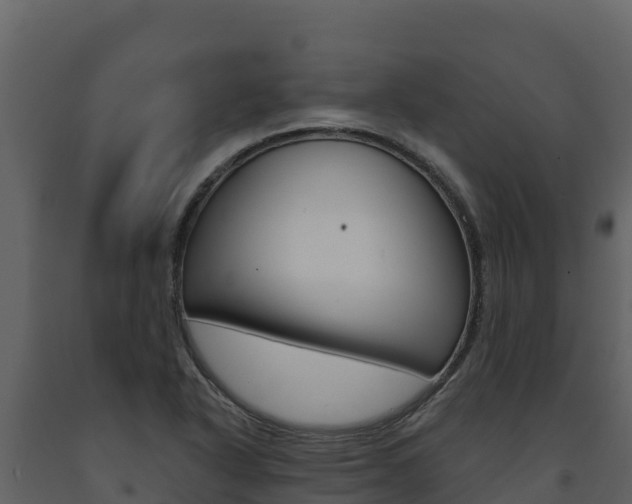 X0000091721318200708241010