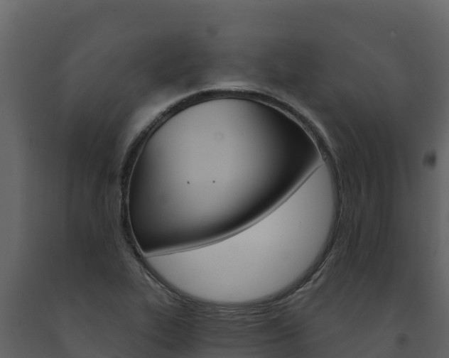 X0000091721319200708241010