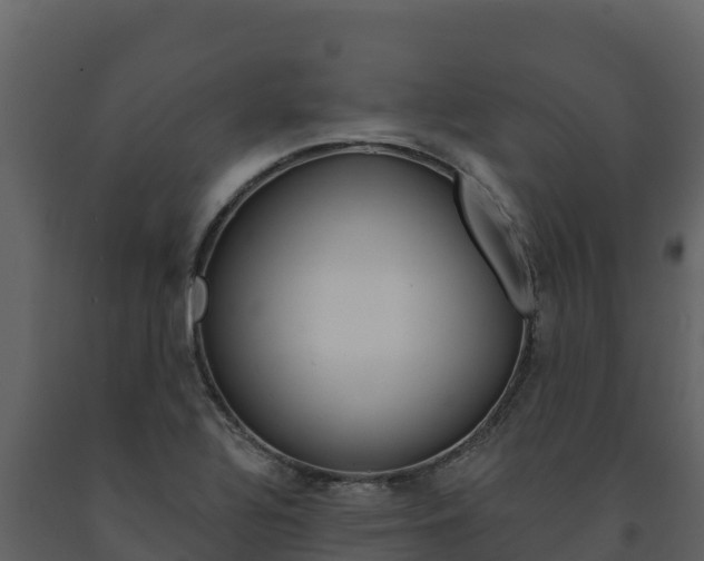 X0000091721320200708241010