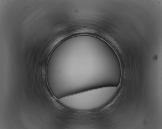 X0000091721321200708241010