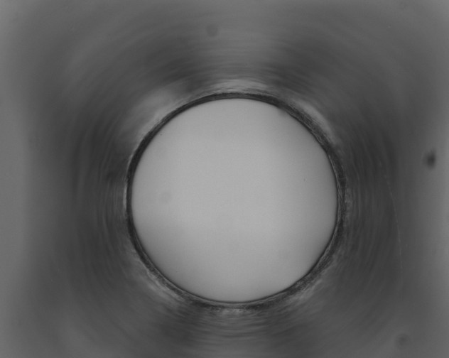 X0000091721322200708241010