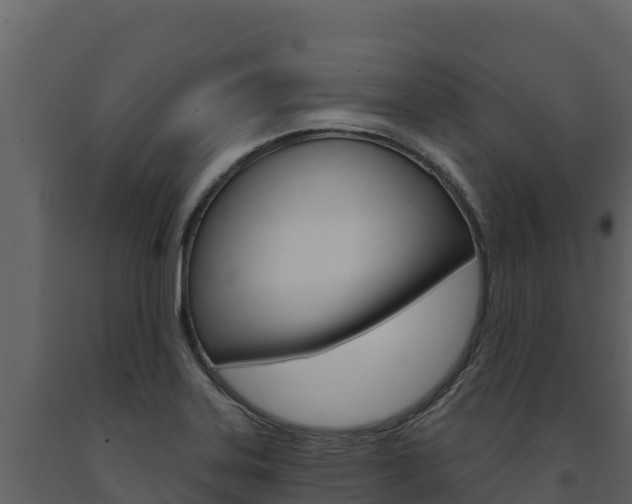 X0000091721323200708241010