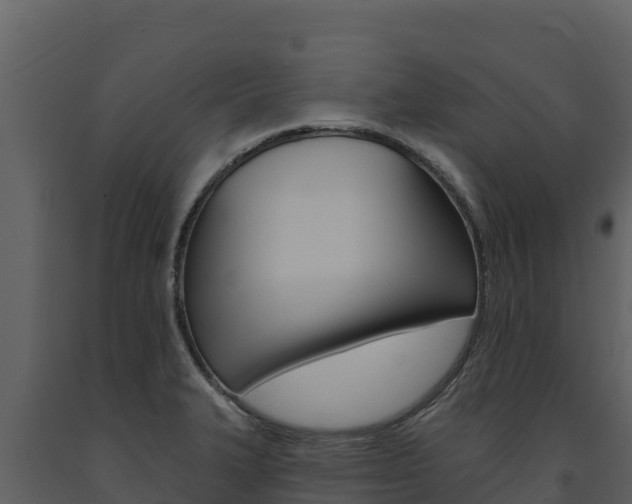 X0000091721327200708241010