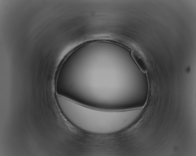 X0000091721328200708241010