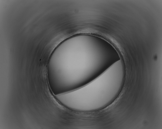 X0000091721329200708241010