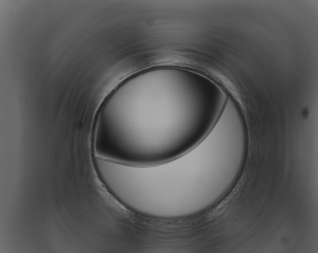 X0000091721330200708241010