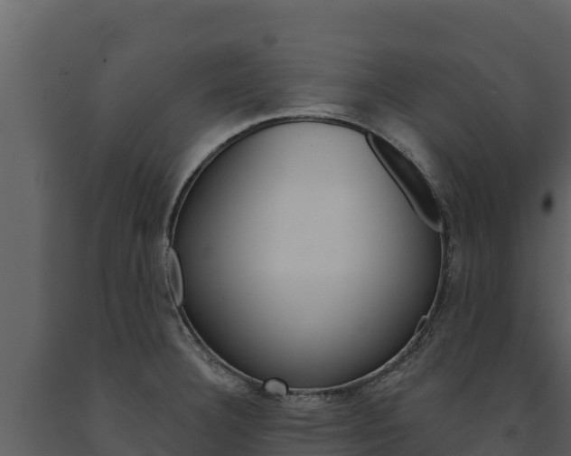 X0000091721332200708241010