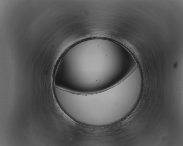 X0000091721334200708241010