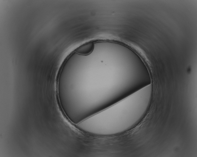 X0000091721335200708241010