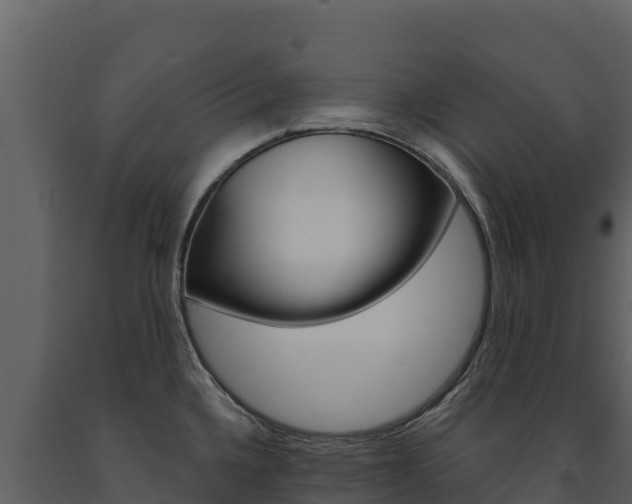 X0000091721336200708241010