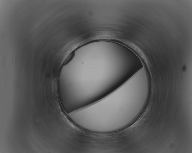 X0000091721337200708241011