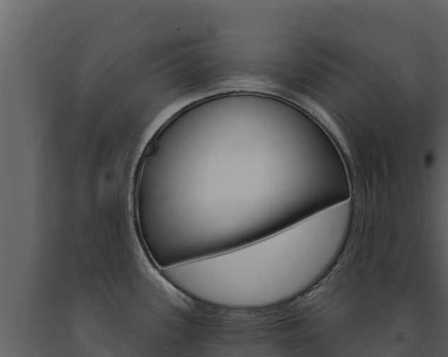 X0000091721339200708241011