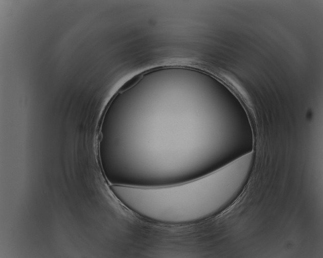 X0000091721340200708241011