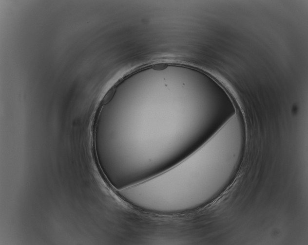 X0000091721341200708241011