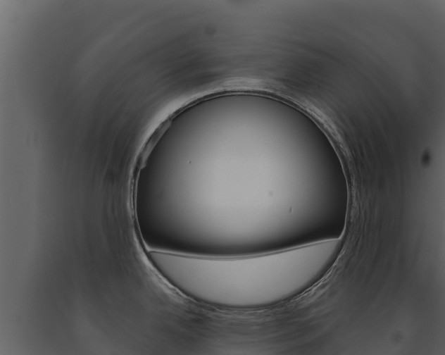 X0000091721342200708241011