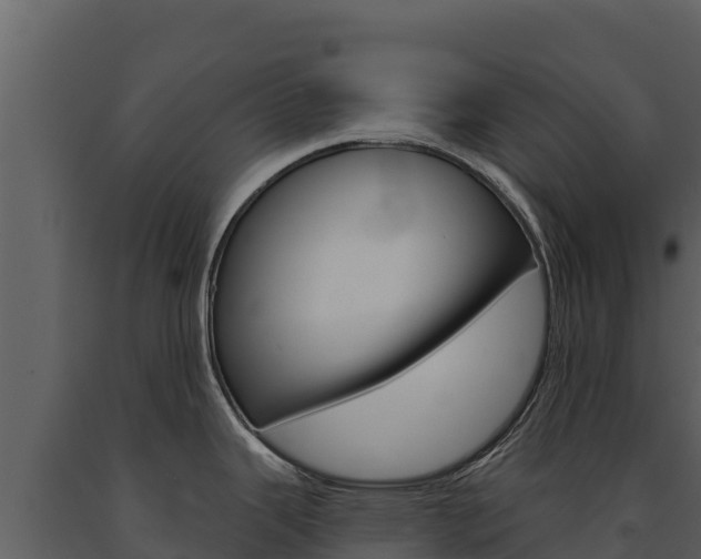 X0000091721343200708241011