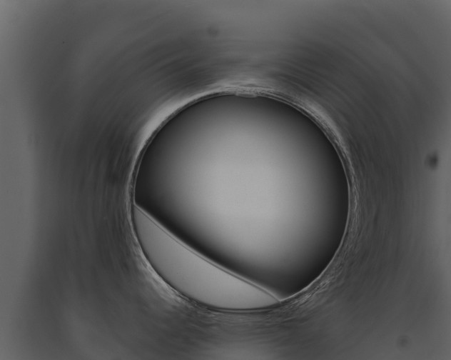 X0000091721344200708241011