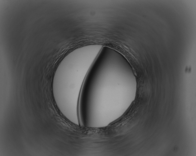 X0000091721345200708241010