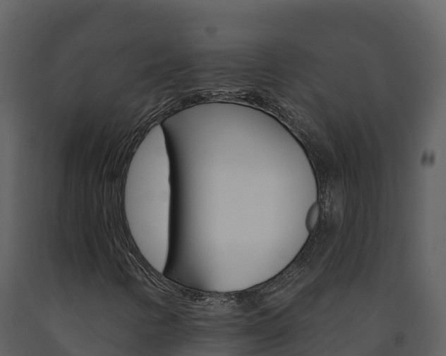 X0000091721346200708241010