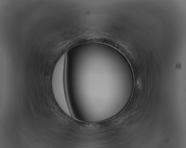 X0000091721348200708241010