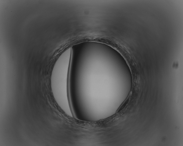 X0000091721349200708241010