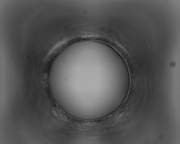 X0000091721351200708241010