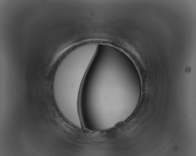 X0000091721352200708241010