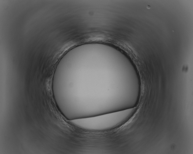 X0000091721353200708241010