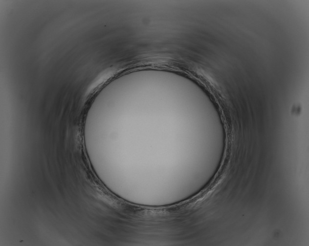 X0000091721354200708241010