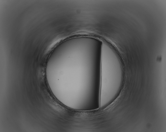X0000091721355200708241010
