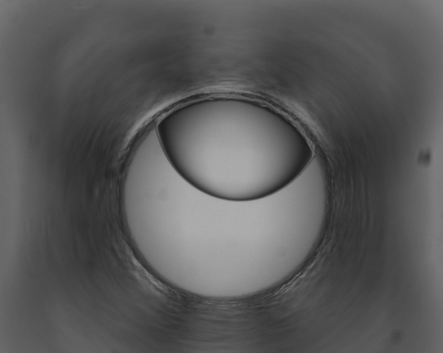 X0000091721356200708241010