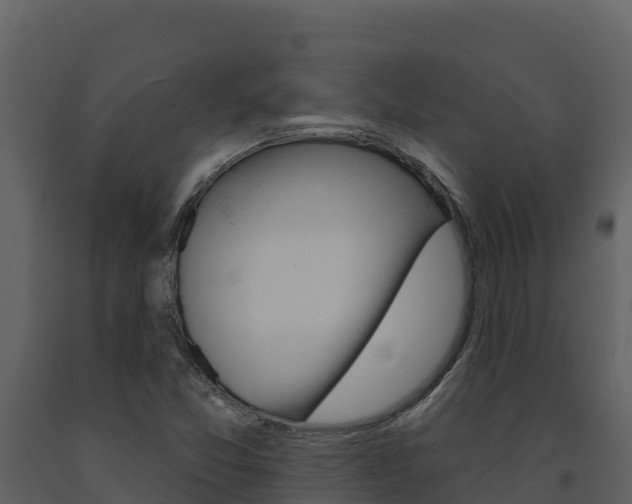 X0000091721357200708241010