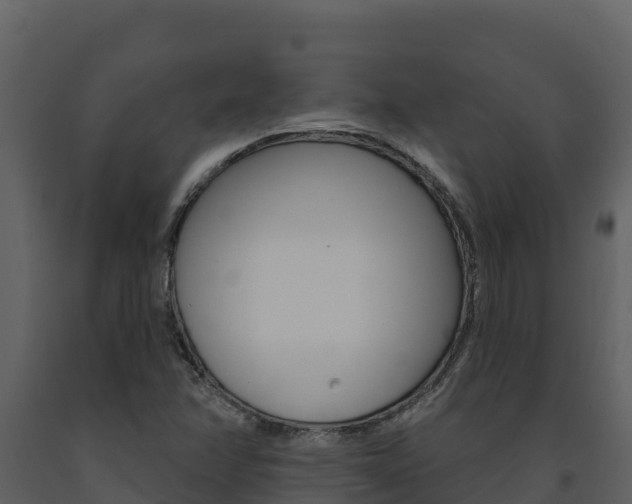 X0000091721358200708241010