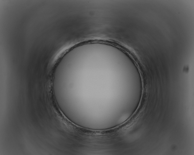 X0000091721359200708241010