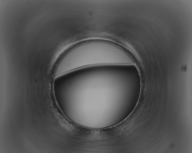 X0000091721360200708241010