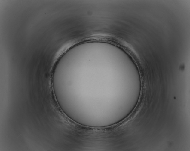 X0000091721362200708241010
