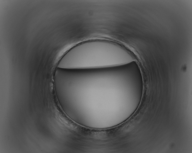 X0000091721363200708241010